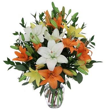 6 Stem Assorted Lilies in a Vase product499