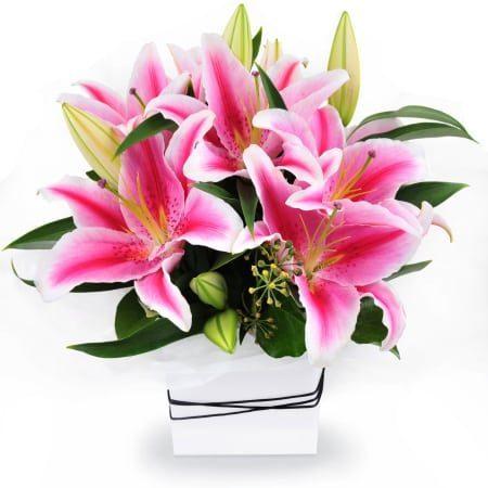 Pink lilies Basket product949